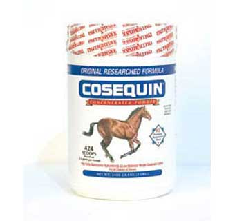 COSEQUIN EQUINE POWDER 700 GM