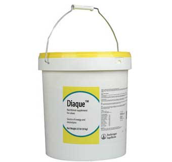 DIAQUE™ PLUS POWDER (10KG) 22 LB BUCKET
