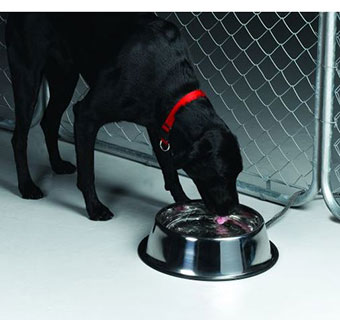 STAINLESS STEEL HEATED PET BOWL 5 QUART 1/PKG