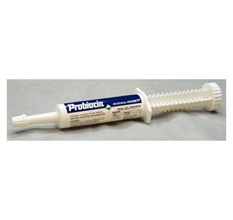 PROBIOCIN ORAL GEL 15 CC SYRINGE