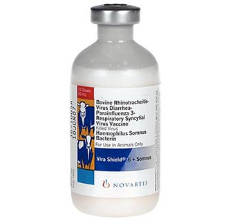 VIRA SHIELD® 6 + SOMNUS 50 ML (10 DOSES)