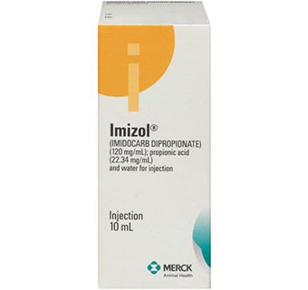 IMIZOL® INJECTION 10 ML (RX)