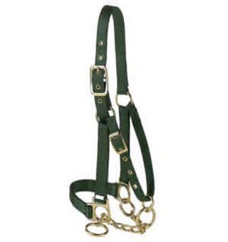 Collars & Halters - Cattle