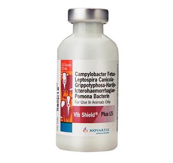 VIB SHIELD® PLUS L5 20 ML (10 DOSES)