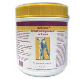 NURSEMATE LAMB POWDER 550 GM