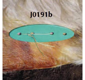 JORVET™ TOGGLE SUTURE BUTTON 6/PKG