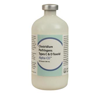 ALPHA-CD™ 100 ML (50 DOSES)