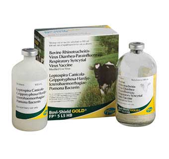 BOVI-SHIELD GOLD® FP 5 L5 HB 50 DOSES