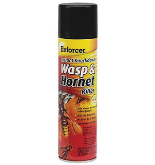 ENFORCER® INSTANT KNOCKDOWN WASP AND HORNET KILLER 16 OZ