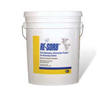 RE-SORB® 64 GM 12 COUNT