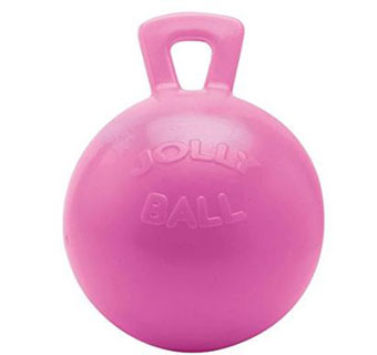 JOLLY BALL™ EQUINE - 10IN - BUBBLE GUM - EACH