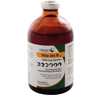 VITA-JEC® B12 INJECTION 1000 MCG 100 ML (RX)