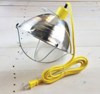 REGULAR BROODER LIGHT WITH TYPE SJTW 18/2 AWG 6 FT CORD