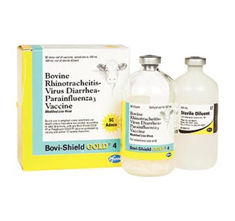 BOVI-SHIELD GOLD® 4 50 DOSES