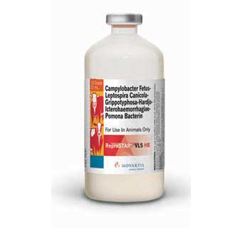 REPROSTAR VL5 HB 20 ML (10 DOSES)