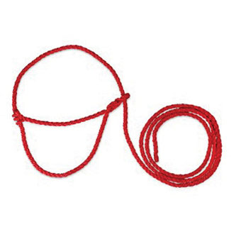 POLY COW HALTER 12 FT RED