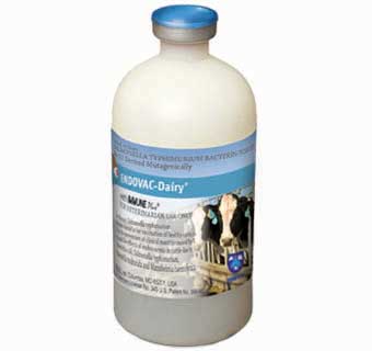ENDOVAC-BOVI® DAIRY 100ML/50 DOSE