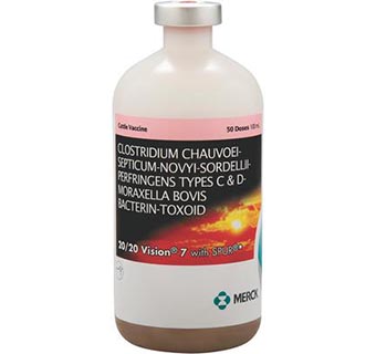 VISION 7® 20/20 WITH SPUR 100 ML (50 DOSES)