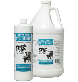 NUTRI-DRENCH® DAIRY BEEF PREMIUM LIQUID SUPPLEMENT 16 OZ