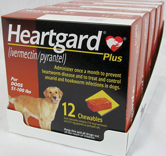 HEARTGARD® PLUS CHEWS CANINE 51-100 LB BROWN 12 DOSES; 5 BOX/CARTON (RX)