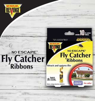 REVENGE® FLY CATCHER RIBBON SOLID 10/PKG