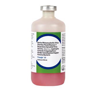TRIANGLE® 10 HB 250 ML (50 DOSES)