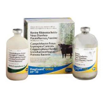 PREGGUARD® GOLD FP™ 10 50 DOSES