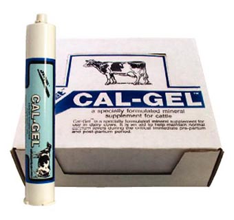 CAL GEL 300 ML DOSING CARTRIDGE