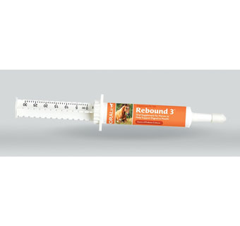 REBOUND 3™ DIGESTIVE HEALTH SUPPLEMENT 34 G