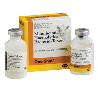 ONE SHOT® 10 DOSES