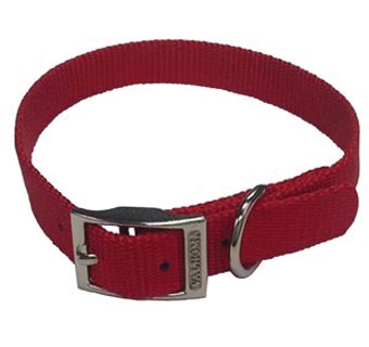 730 SINGLE LAYER DOG COLLAR 18 IN L X 3/4 IN W RED