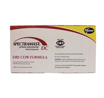 SPECTRAMAST® DC 10 ML 12 SYRINGES (RX)