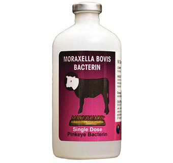 MAXI/GUARD® PINKEYE BACTERIN 100 ML (50 DOSES)