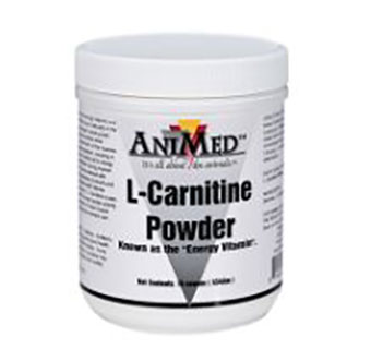 L-CARNITINE POWDER - 16OZ - EACH