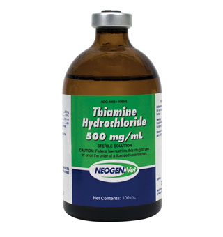 THIAMINE HYDROCHLORIDE RX 500 MG 100 ML