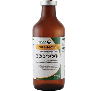 VITA-JEC® B COMPLEX FORTIFIED INJECTION 250 ML