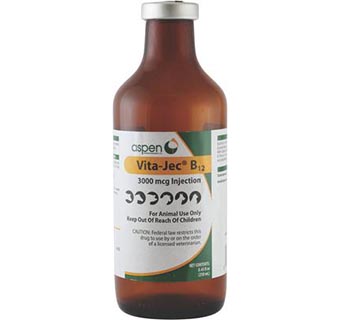 VITA-JEC® B12 INJECTION 3000MCG 250 ML (RX)