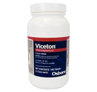 VICETON® TABLETS (CHLORAMPHENICOL) 1 G 100/BOTTLE (RX)