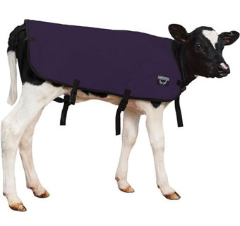 DOUBLE INSULATION CALF BLANKET BLUE MED 30 IN
