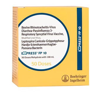 EXPRESS® FP 10 HB 100 ML (50 DOSES)