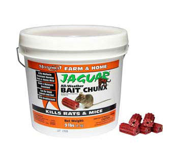 JAGUAR BAIT CHUNX 20 GM CHUNX IN 9 LB PAIL