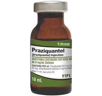 PRAZIQUANTEL INJECTION 56.8 MG/ML - 10 ML (RX)
