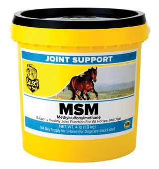 MSM™ JOINT SUPPORT SUPPLEMENT 10 LB