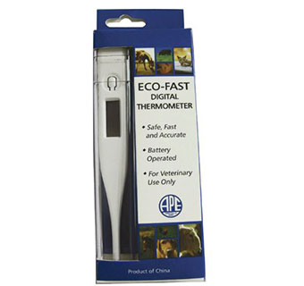 ECO-FAST DIGITAL THERMOMETER F 60 SEC 1/PKG