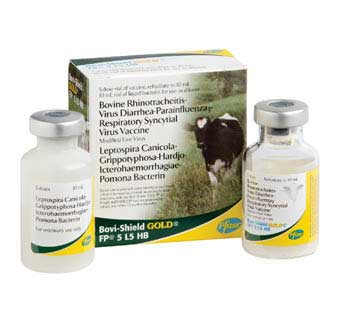 BOVI-SHIELD GOLD® FP 5 L5 HB 5 DOSES