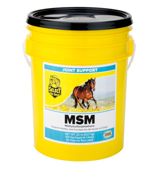 MSM 20 LB
