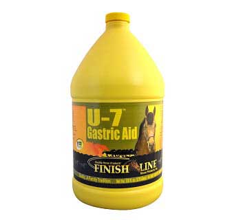 U-7™ GASTRIC AID LIQUID 128 OZ 1/PKG