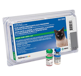 NOBIVAC® FELINE 1-HCPCH+ FELV 25 X 1 ML DOSE