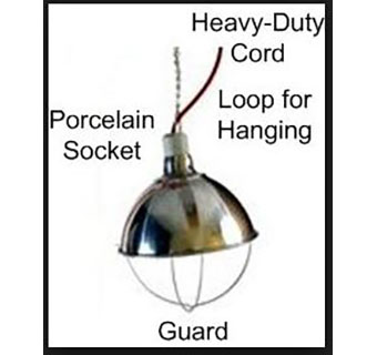 BROODER LIGHT AND CLAMP WITH 6FT CORD - EACH