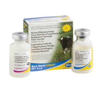 BOVI-SHIELD GOLD® FP 5 L5 5 DOSES